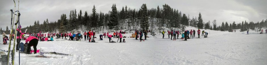 DSC_0859-PANO