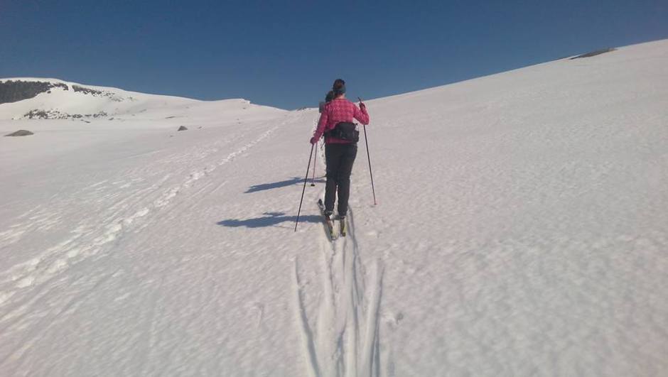 13133176_10154795125447538_8826423220376733734_n