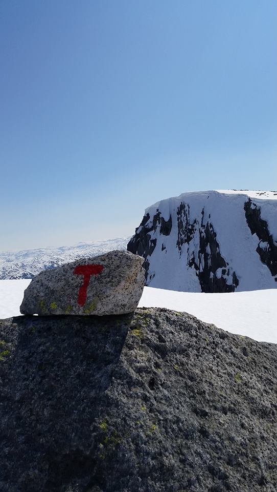 13153381_10153333864692563_236058307_n