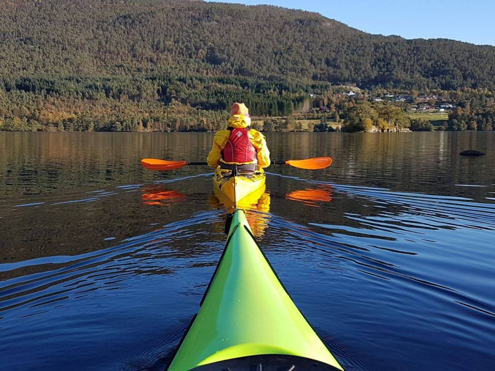 14572108_10155267804697538_1232241089_o