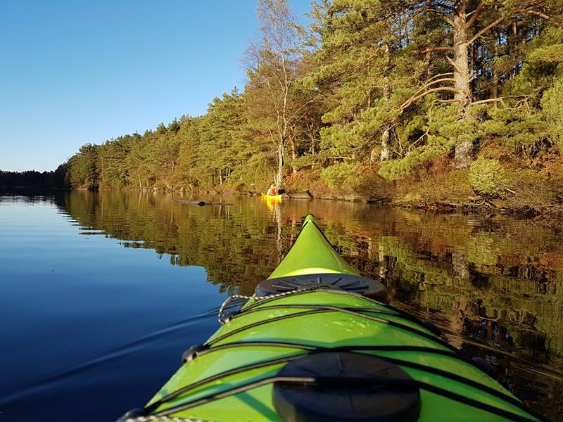 14642687_10155267802017538_1068843139_n