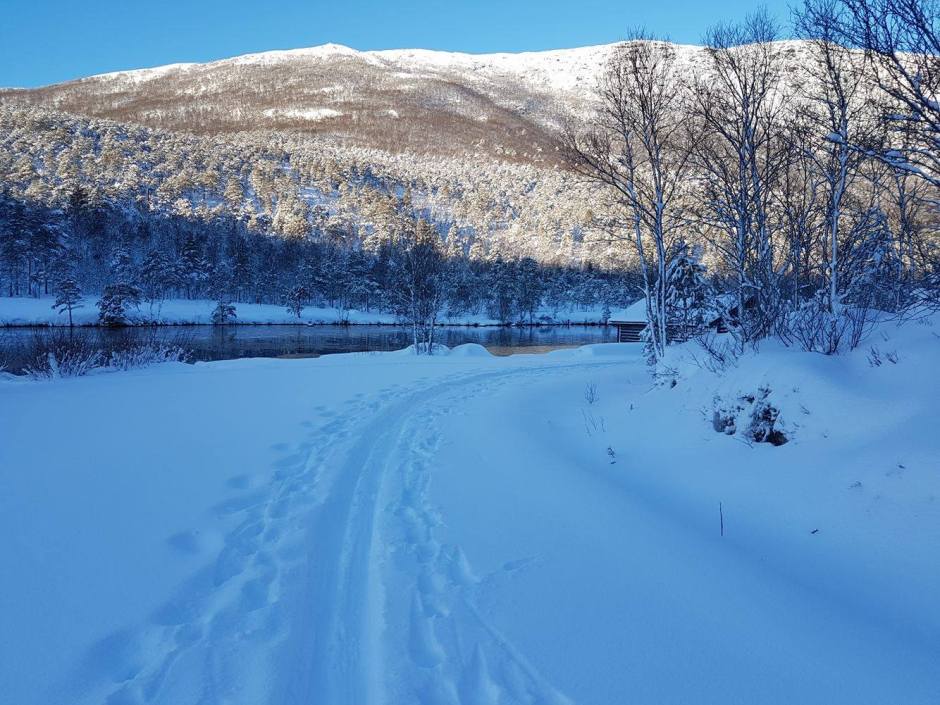 16010691_10155639139302538_20652774_o